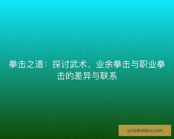 拳击之道：探讨武术、业余拳击与职业拳击的差异与联系